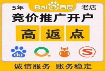 SEM投放策略：成功案例解析